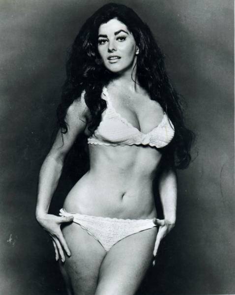 Edy williams playboy